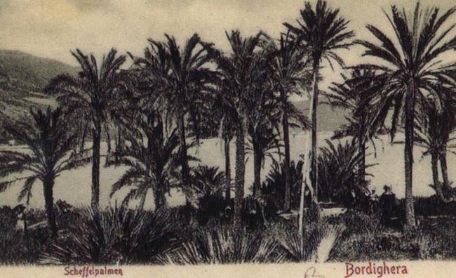 Pierre Renoir View of Bordighera:the Palms Postcard oil painting image